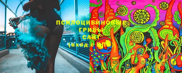 дживик Алексин
