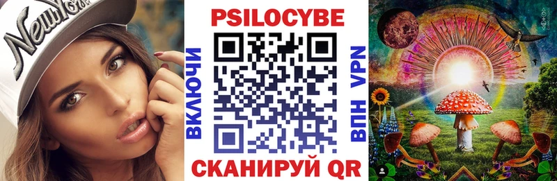 наркота  Чусовой  Галлюциногенные грибы Cubensis 